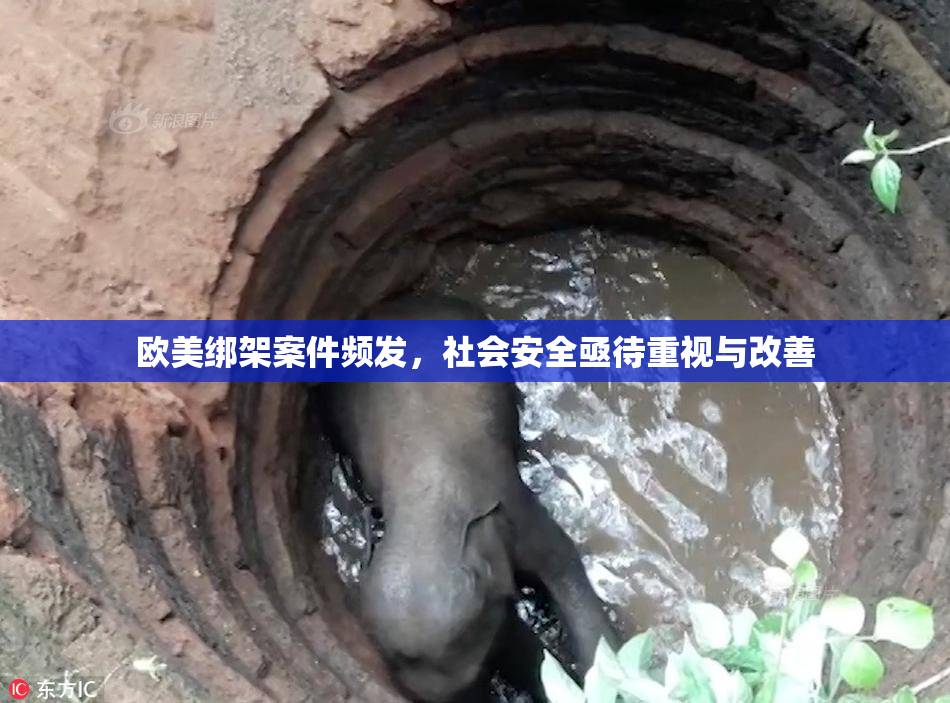 欧美绑架案件频发，社会安全亟待重视与改善