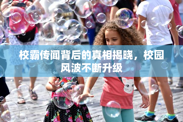 校霸传闻背后的真相揭晓，校园风波不断升级