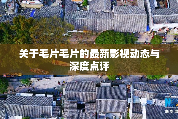 关于毛片毛片的最新影视动态与深度点评