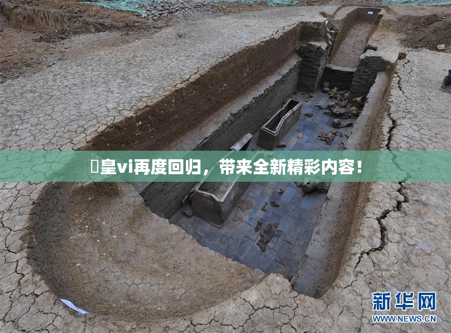 嘼皇vi再度回归，带来全新精彩内容！