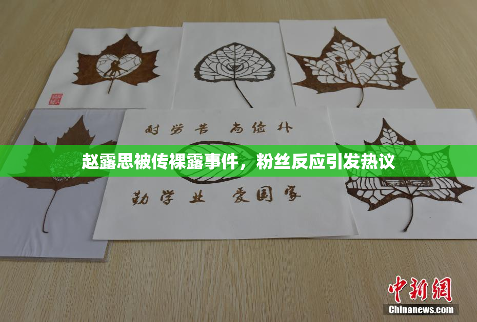 赵露思被传裸露事件，粉丝反应引发热议