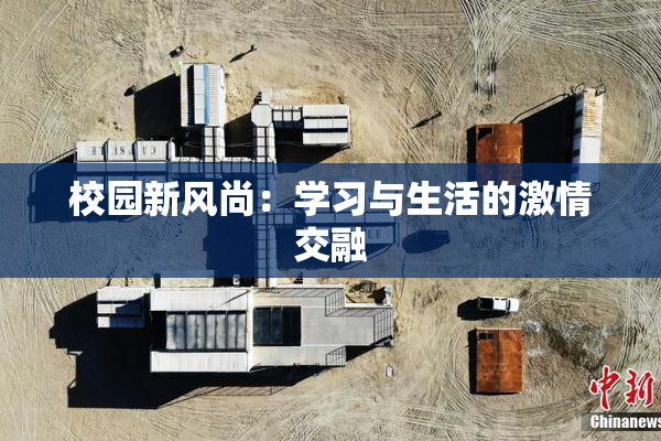 校园新风尚：学习与生活的激情交融