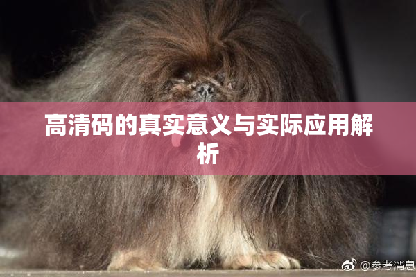 高清码的真实意义与实际应用解析