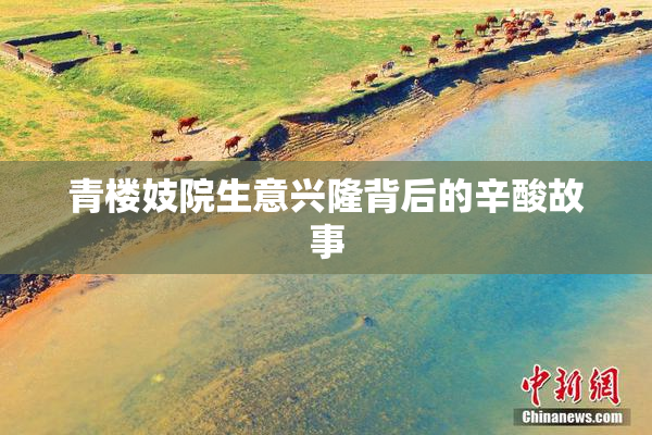 青楼妓院生意兴隆背后的辛酸故事