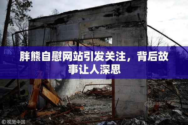 胖熊自慰网站引发关注，背后故事让人深思