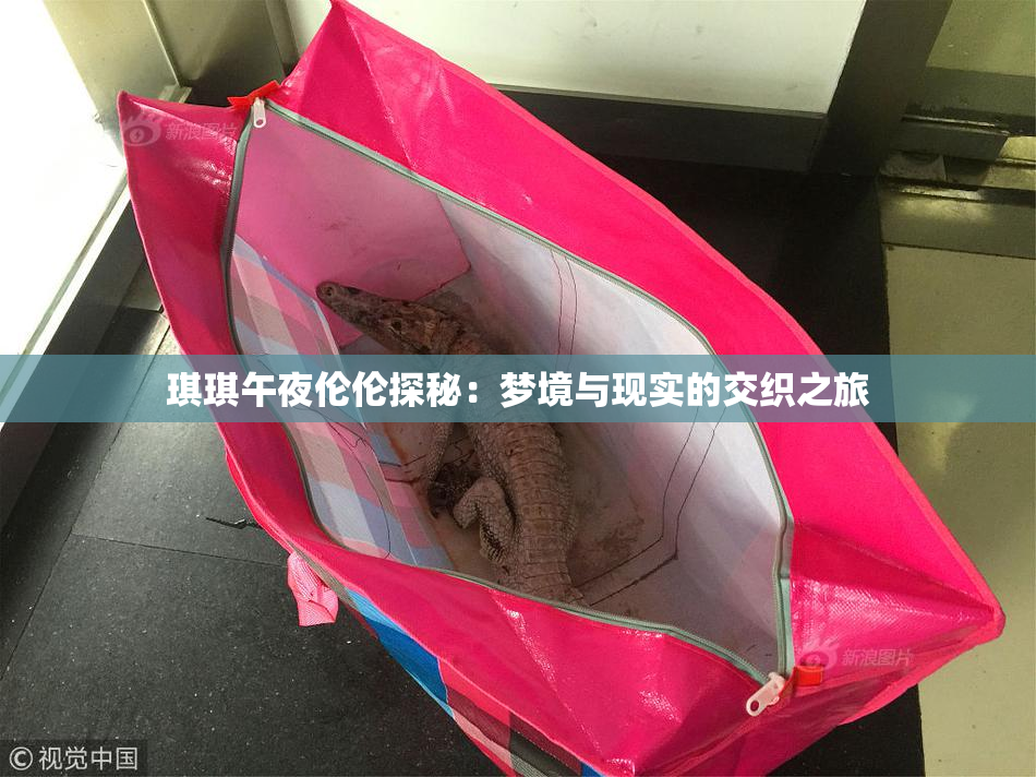 琪琪午夜伦伦探秘：梦境与现实的交织之旅