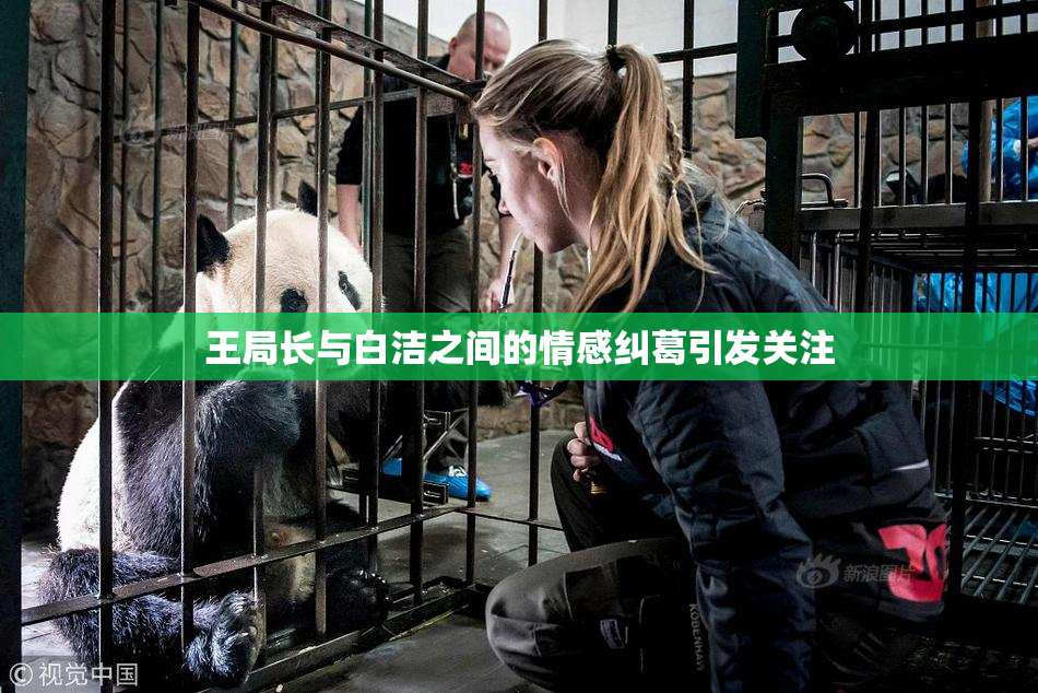 王局长与白洁之间的情感纠葛引发关注