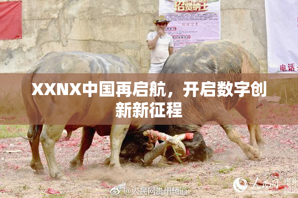 XXNX中国再启航，开启数字创新新征程