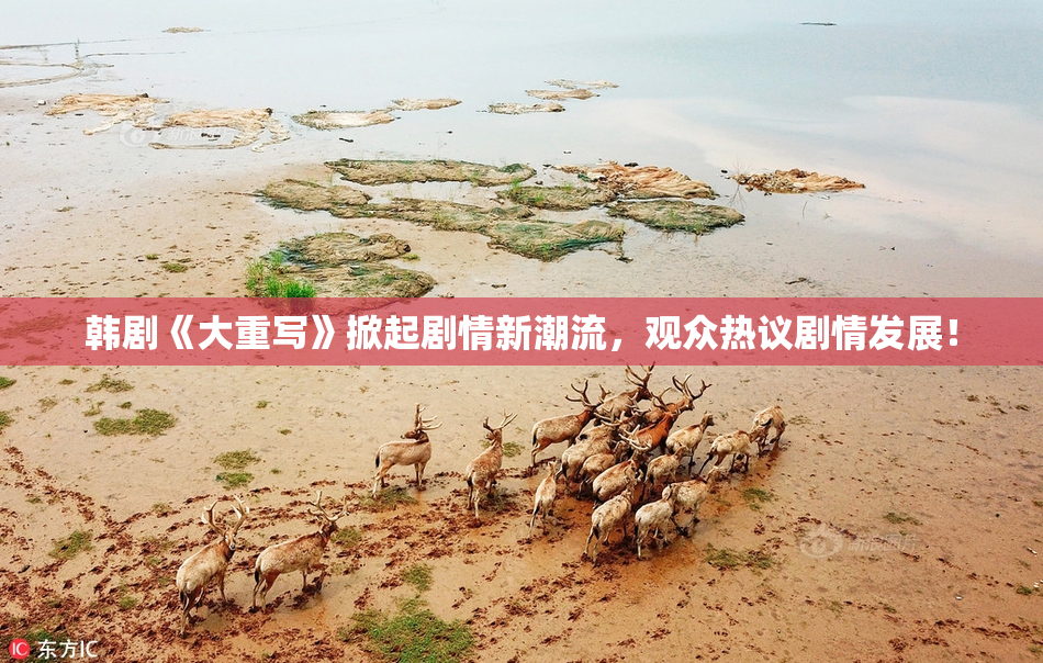 韩剧《大重写》掀起剧情新潮流，观众热议剧情发展！