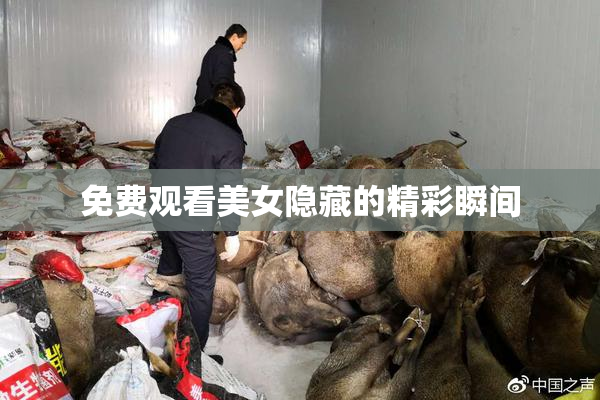 免费观看美女隐藏的精彩瞬间