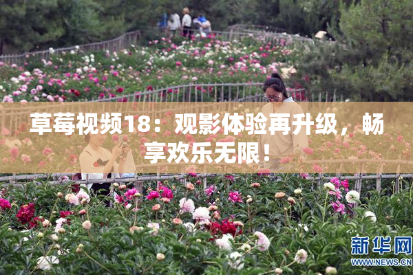 草莓视频18：观影体验再升级，畅享欢乐无限！