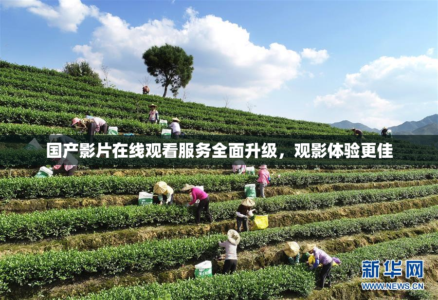 国产影片在线观看服务全面升级，观影体验更佳
