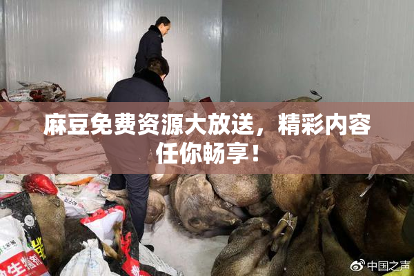 麻豆免费资源大放送，精彩内容任你畅享！