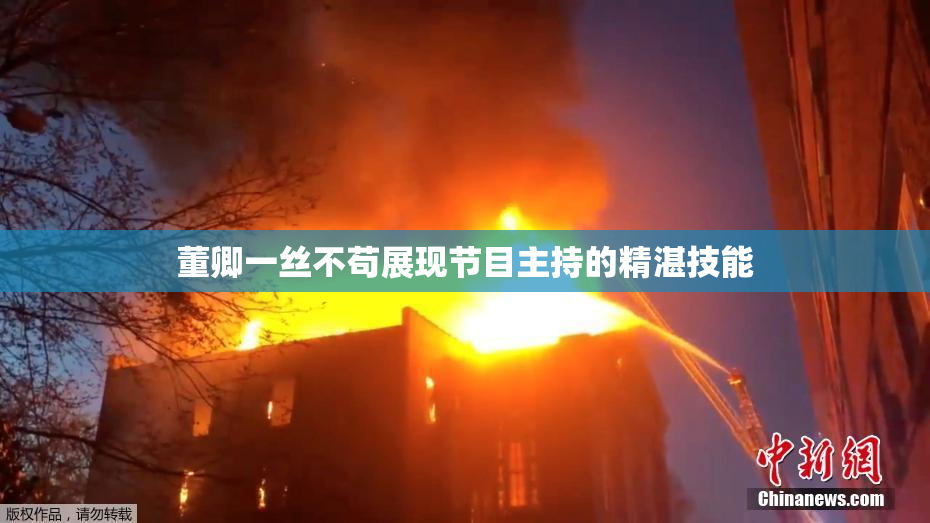 董卿一丝不苟展现节目主持的精湛技能