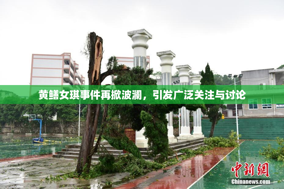 黄鳝女琪事件再掀波澜，引发广泛关注与讨论