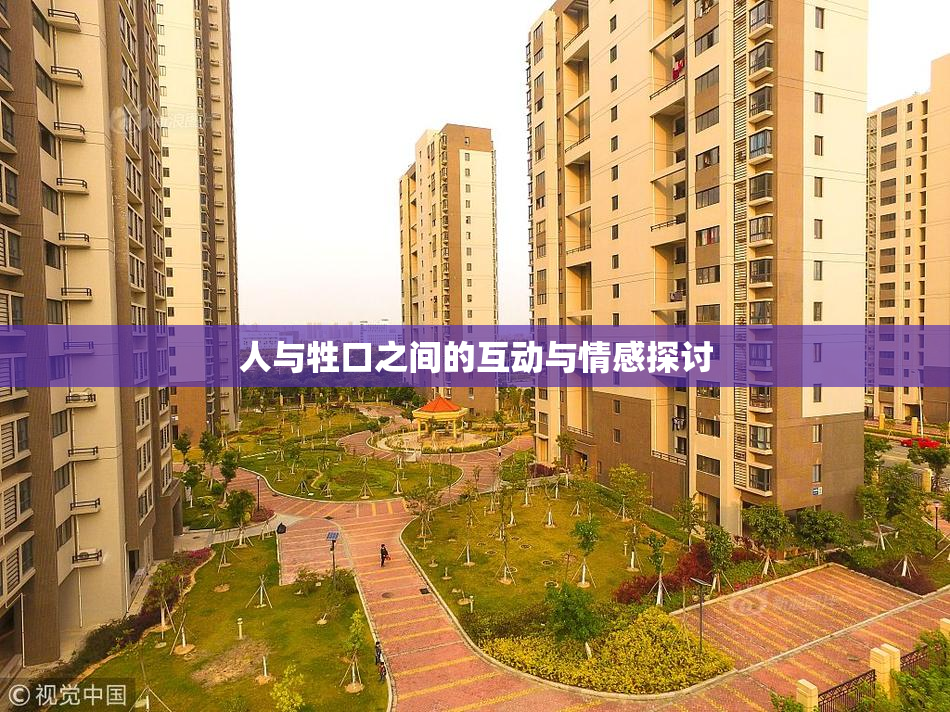 人与牲口之间的互动与情感探讨