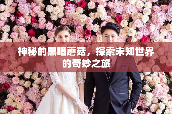 神秘的黑暗蘑菇，探索未知世界的奇妙之旅
