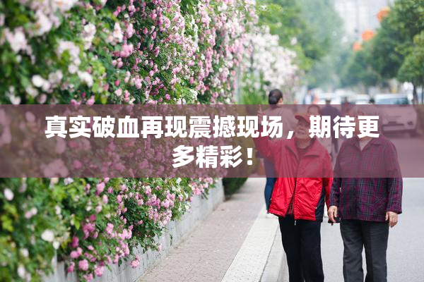 真实破血再现震撼现场，期待更多精彩！