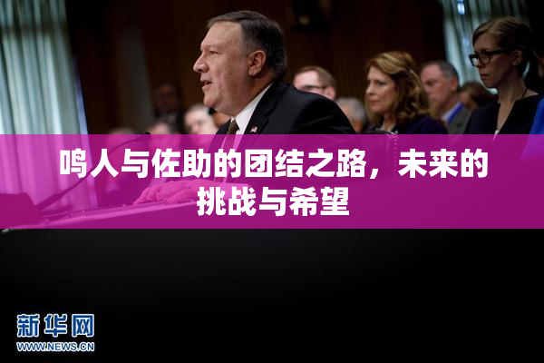 鸣人与佐助的团结之路，未来的挑战与希望