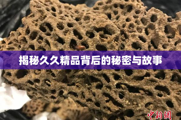 揭秘久久精品背后的秘密与故事