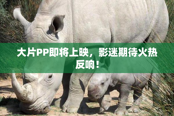 大片PP即将上映，影迷期待火热反响！