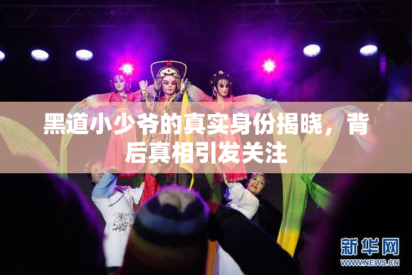 黑道小少爷的真实身份揭晓，背后真相引发关注