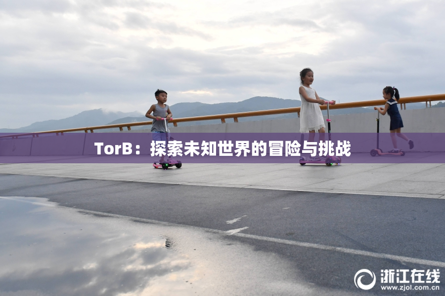 TorB：探索未知世界的冒险与挑战
