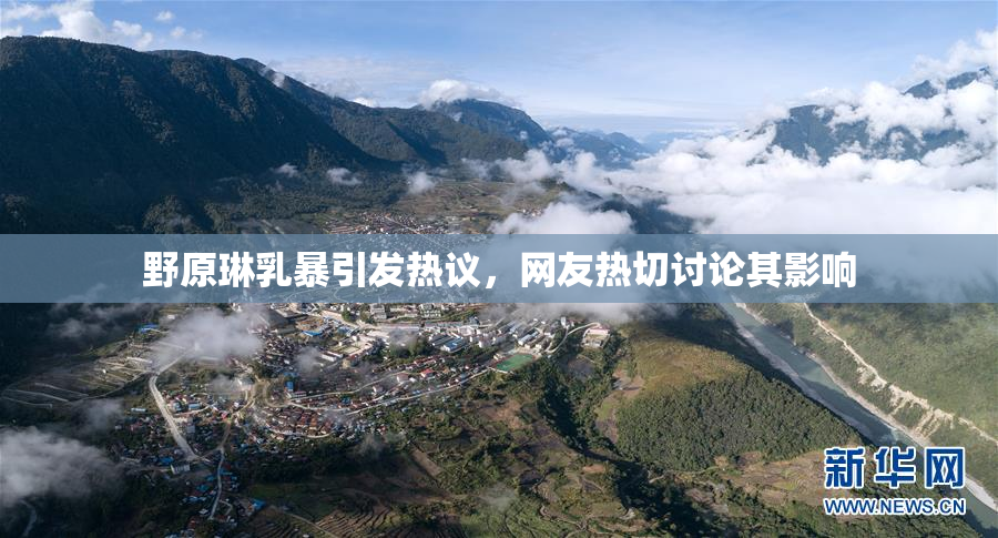 野原琳乳暴引发热议，网友热切讨论其影响