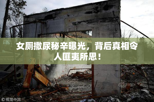 女厕撒尿秘辛曝光，背后真相令人匪夷所思！