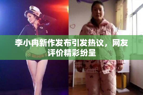 李小冉新作发布引发热议，网友评价精彩纷呈
