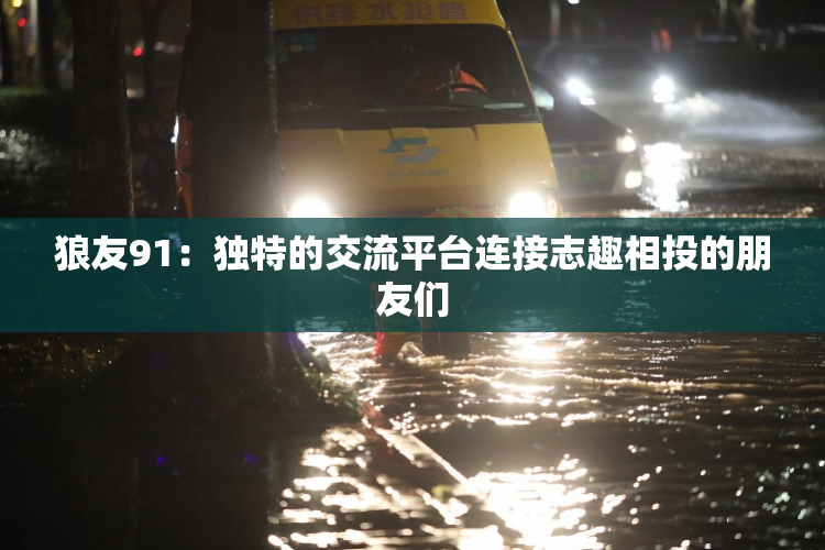 狼友91：独特的交流平台连接志趣相投的朋友们