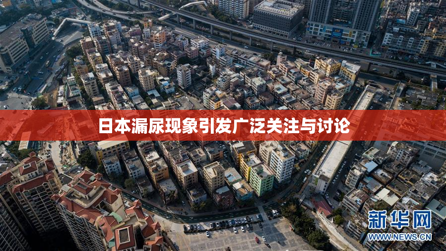 日本漏尿现象引发广泛关注与讨论