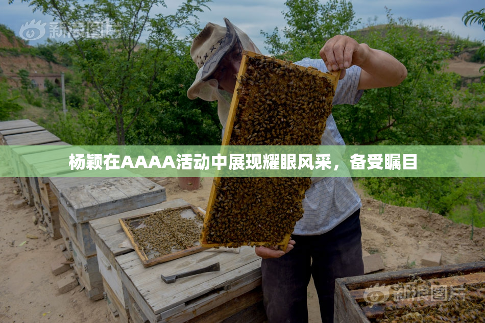 杨颖在AAAA活动中展现耀眼风采，备受瞩目