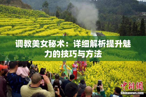 调教美女秘术：详细解析提升魅力的技巧与方法