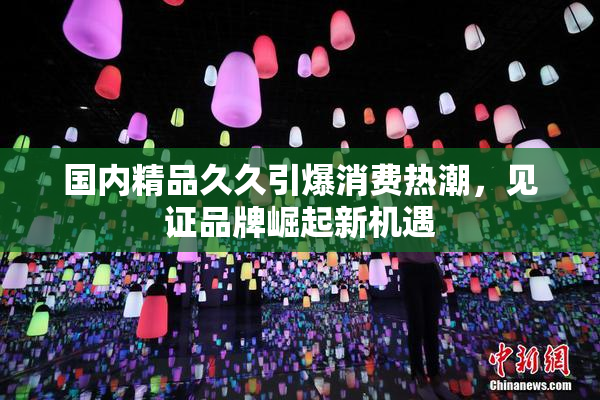 国内精品久久引爆消费热潮，见证品牌崛起新机遇