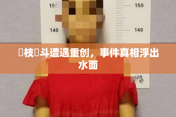 狛枝凪斗遭遇重创，事件真相浮出水面