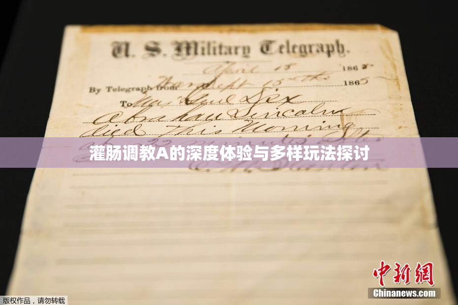 灌肠调教A的深度体验与多样玩法探讨