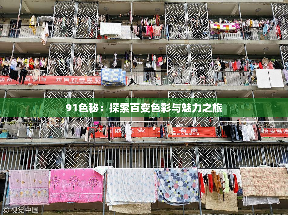 91色秘：探索百变色彩与魅力之旅