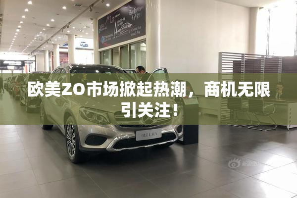 欧美ZO市场掀起热潮，商机无限引关注！