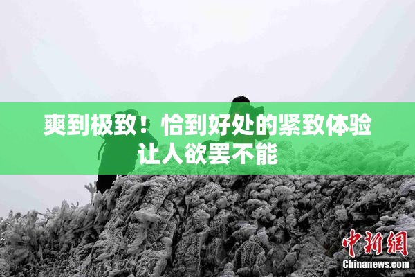 爽到极致！恰到好处的紧致体验让人欲罢不能