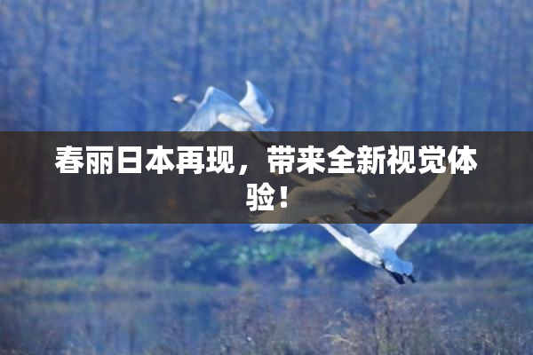 春丽日本再现，带来全新视觉体验！