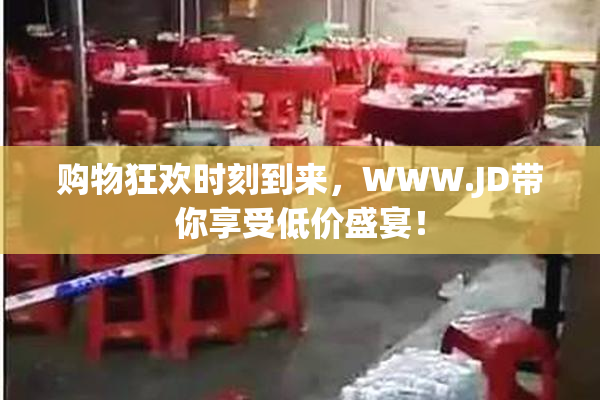 购物狂欢时刻到来，WWW.JD带你享受低价盛宴！