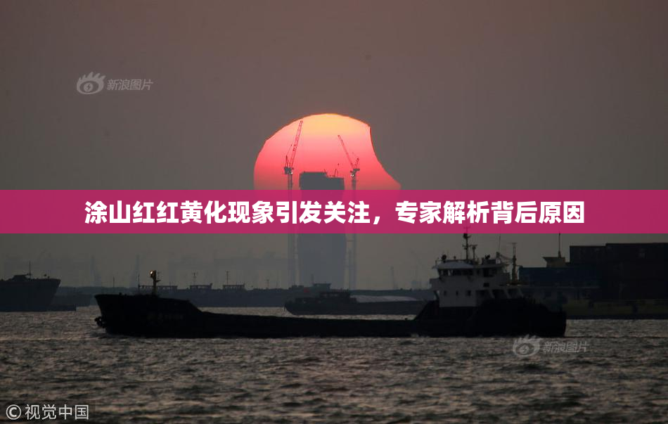 涂山红红黄化现象引发关注，专家解析背后原因