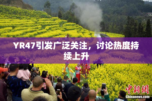 YR47引发广泛关注，讨论热度持续上升