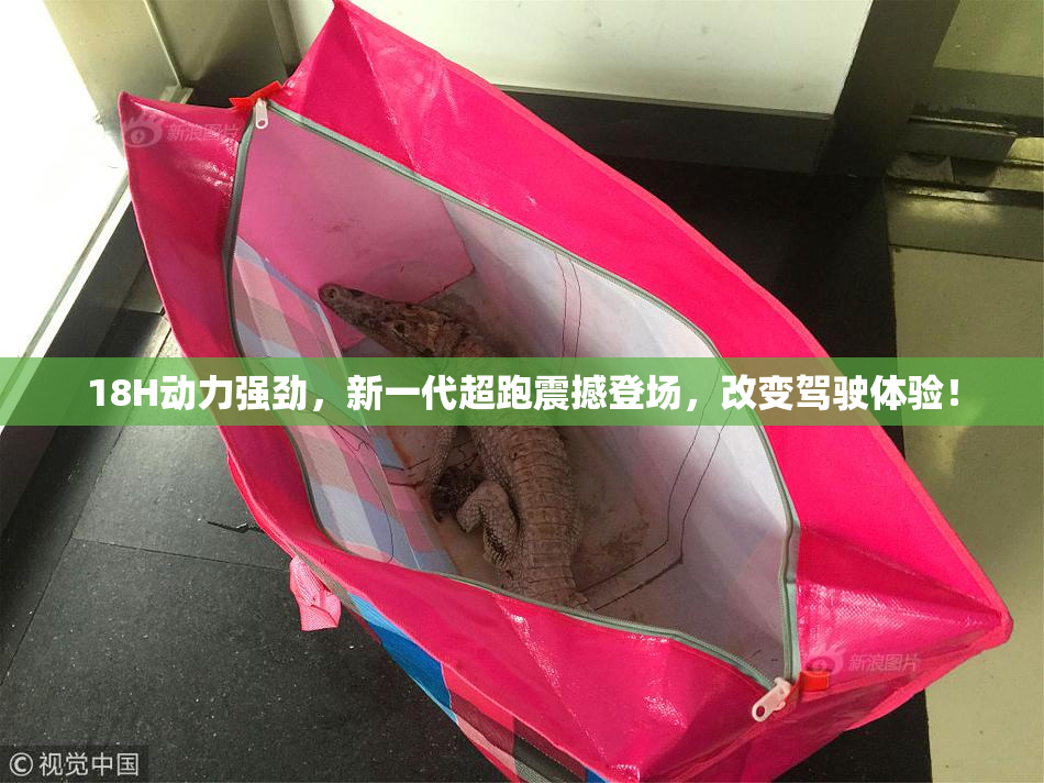 18H动力强劲，新一代超跑震撼登场，改变驾驶体验！