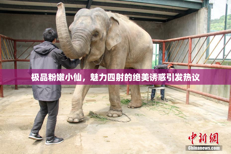 极品粉嫩小仙，魅力四射的绝美诱惑引发热议
