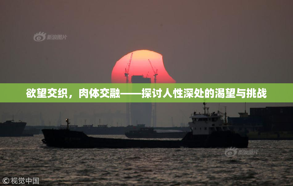 欲望交织，肉体交融——探讨人性深处的渴望与挑战