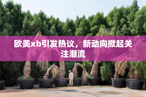 欧美xb引发热议，新动向掀起关注潮流