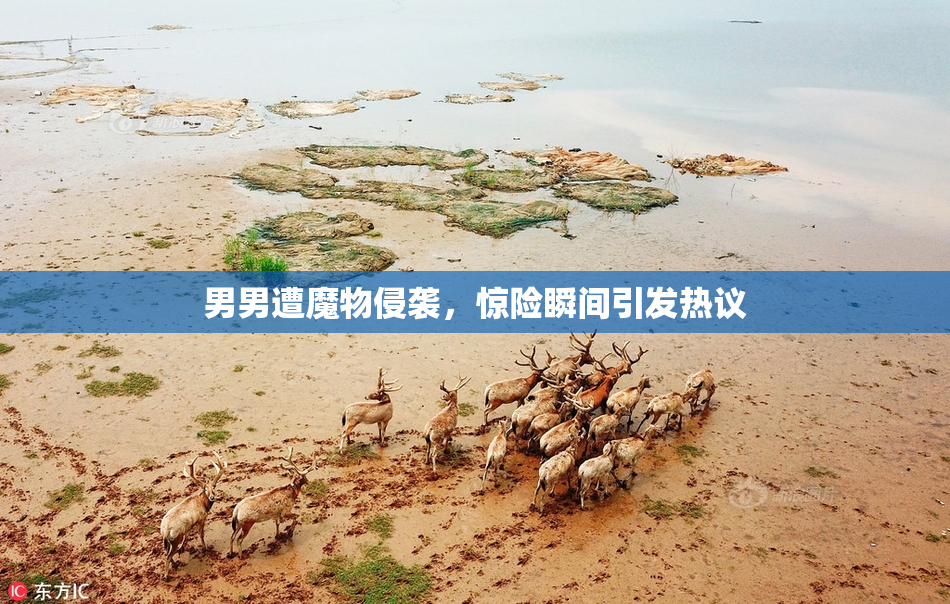 男男遭魔物侵袭，惊险瞬间引发热议