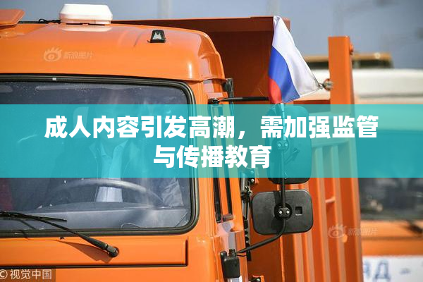成人内容引发高潮，需加强监管与传播教育